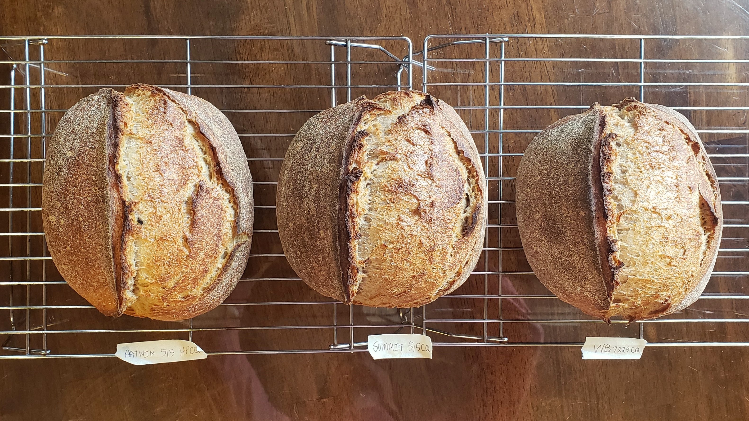 Bread Bakers & Baking Stones – Breadtopia